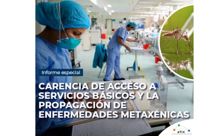 Informe especial | Carencia de acceso a servicios básicos y la propagación de enfermedades metaxénicas