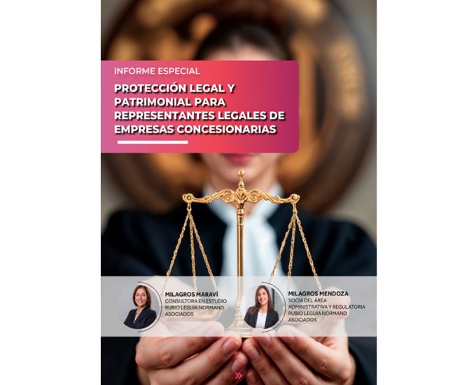 Protección legal y patrimonial para representantes legales de empresas concesionarias | Informe especial