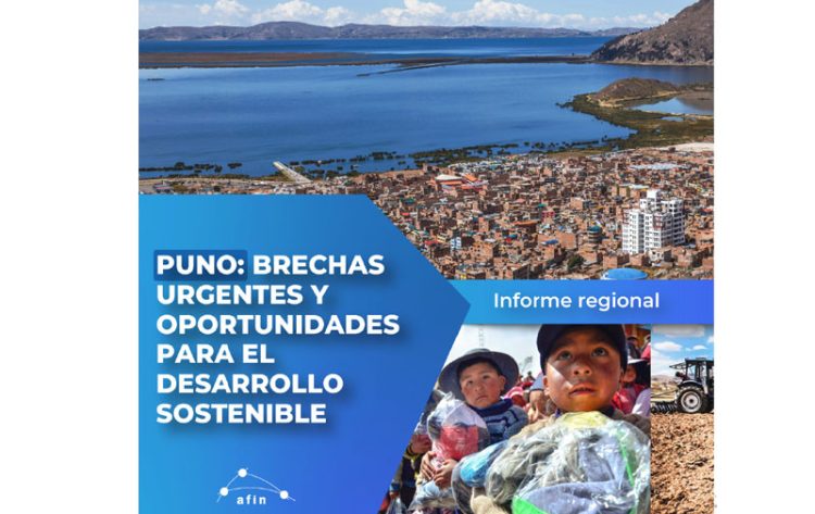 Puno: Brechas urgentes y oportunidades para el desarrollo sostenible | Informe especial