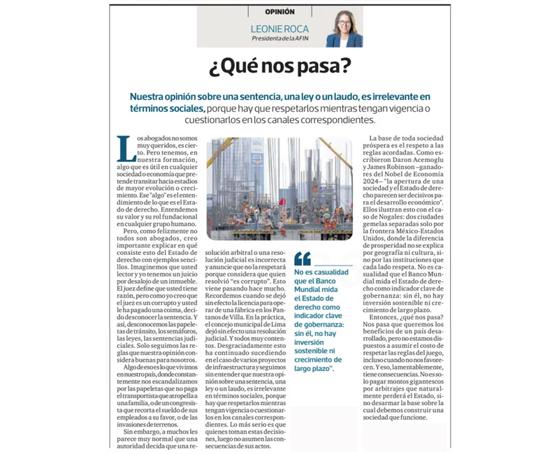 ¿Qué nos pasa?, por Leonie Roca, presidenta de AFIN