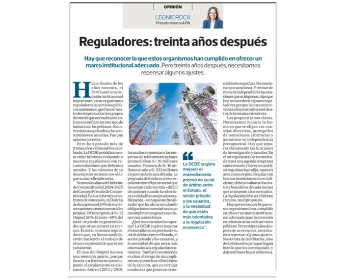 Reguladores: treinta años después, por Leonie Roca, presidenta de AFIN